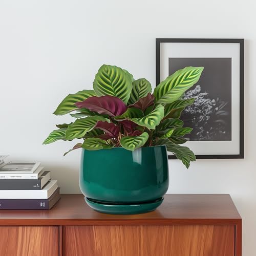 G EPGardening 6 Inch Plant Pot - Ceramic Planter for Indoor Plants, Round Planter with Drainage and Ceramic Tray, Flower Pots for Outdoor, Modern House Decor, Gift for Men Women, Green - Image 2