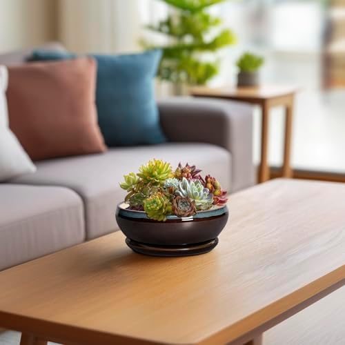 SQOWL Succulent Pots with Drainage Hole - 6 Inch Ceramic Bonsai Tree Pots, Shallow Planter with Saucer, Round Plant Pot for Succulent Indoor Outdoor, Porch Decor, Gifts for Plant Lover, Blue-Brown - Image 6