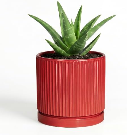 Ceramic Pots for Plants, 4 Inch Planter, Round Plant Pots, Red by Unknown