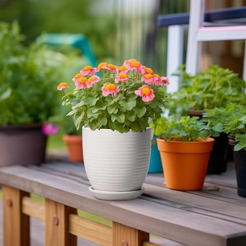 Ceramic Pots for Plants - 6 Inch Plant Pot with Drainage Hole and Saucer, Round Planters for Indoor Outdoor, Flower Pots, Modern Planter, Home Office Room Decor, Gifts for Plant Lovers, White - Image 4
