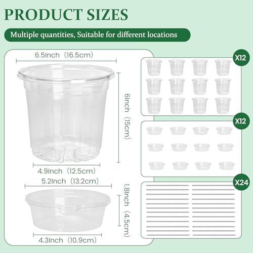 Bluepro Self Watering Pots for Indoor Plants, 6.5 Inch, 12-Pack - Image 2