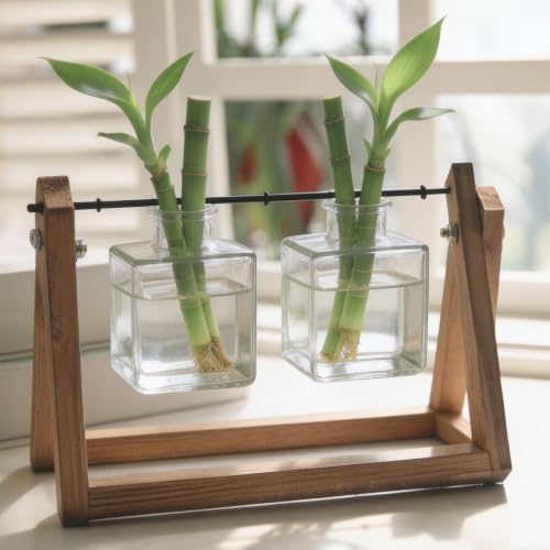 LALAFINA Wood Vase Stand with 3 Vases, Solid Wooden Propagation Holder - Image 5