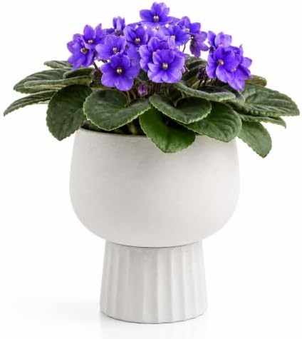 Self Watering Pots for Indoor Plants, 6 Inch Ceramic African Violet Pot by AvyraVelen