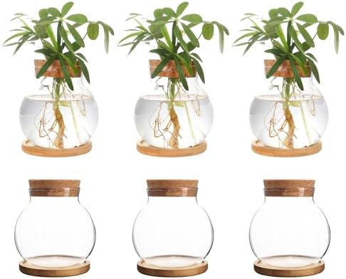 Plant Propagation Station,Hydroponic Glass Container Vase Jars, with Wooden Saucer for Desks, Houses, Garden Decorations, Home Kitchen Decorations and Gifts for Plant Lovers (6) by CHPINDAM