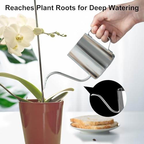 Doseno Small Watering Can for Indoor Plants, Plant Watering Can, 12 oz - Image 3