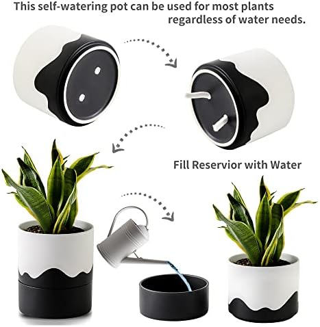 Nihow Ceramic Self Watering Plant Pot for Indoor Plants,6 Inch,White Black - Image 3