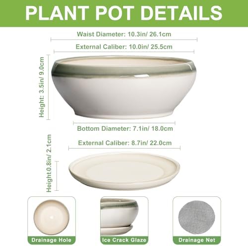 SQOWL Bonsai Pots Ceramic - 10 Inch Succulent Planters for Indoor Plants Outdoor, Shallow Round Planter with Drainage Hole and Saucer, Ceramic Planter Bowl, Office Decor, Gifts for Women, Gray-Beige - Image 2