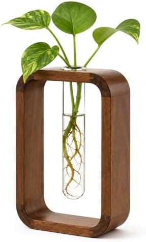 Modern Wooden Frame Glass Vase Hydroponic Planter – Minimalist Square Propagation Station with Test Tube Vase – Indoor Plant Terrarium for Flower, Cuttings & Home Office Decor by TerraSol