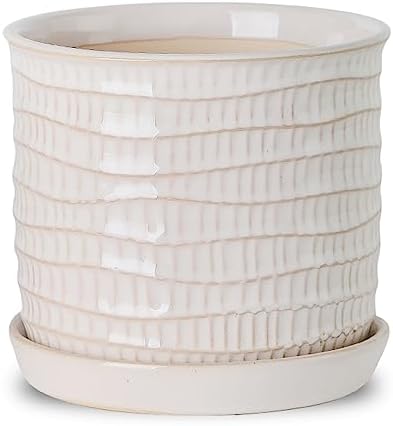 5.8 Inch Ceramic Planter with Drainage Hole & Bonded Saucer by Chubacoo