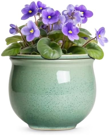 Ceramic Self Watering Planter, 8 Inch African Violet Pots, Green by Teagas