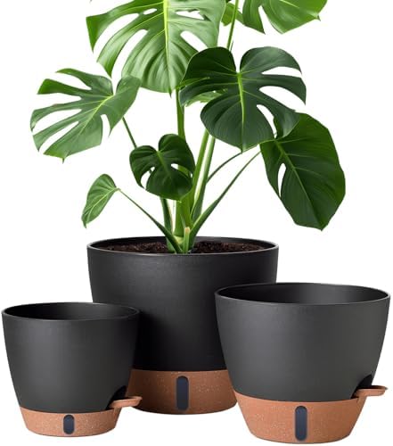 8/10/12 Inch Self Watering Pots for Indoor/Outdoor Plants with Drainage by Montresor