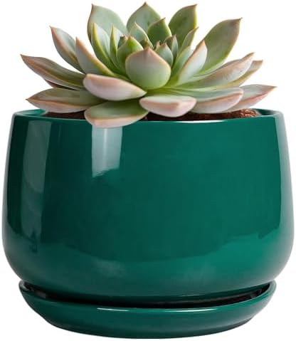 G EPGardening 6 Inch Plant Pot - Ceramic Planter for Indoor Plants, Round Planter with Drainage and Ceramic Tray, Flower Pots for Outdoor, Modern House Decor, Gift for Men Women, Green by GEPGardening