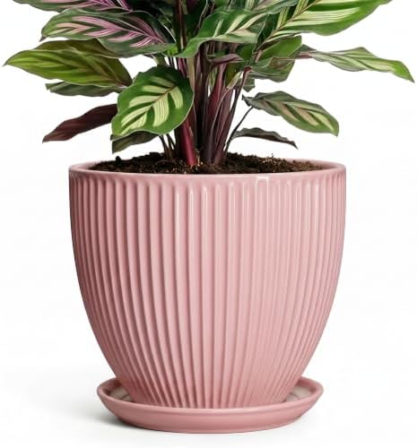 6 Inch Flower Pots, Ceramic Pots for Plants Indoor, Modern Plant Pot with Drainage Hole and Saucer, Decorative Small Round Succulent Planter, Living Room Office Decor, Women Men Gifts, Pink by Unknown