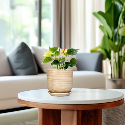 Ceramic Plant Pot 5 Inch - Modern Round Succulent Planter for Indoor Plants with Drainage Hole and Saucer, Office Home Room House Decor, Yellow - Image 4