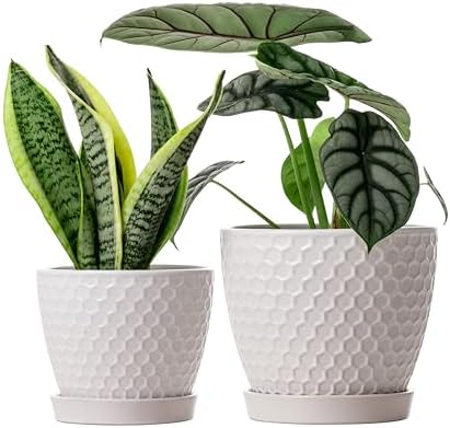 Docrin Ceramic Plant Pots Set of 2 (6.6"+5.5"), High-Fired Clay Indoor Planters with Drainage Holes & Saucer, Honeycomb Modern Home Decor for All House Plants by DOCRIN