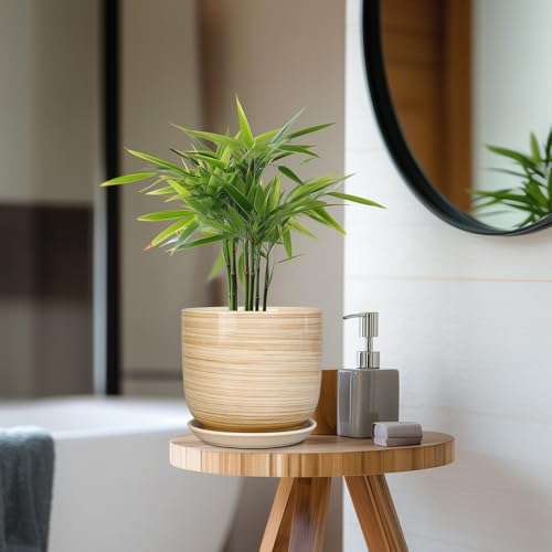 Ceramic Planter for Indoor Plants 7 Inch - Cylinder Modern Indoor Plant Pot with Drainage Hole and Saucer, Home Patio Office Bathroom Decor, Yellow - Image 7