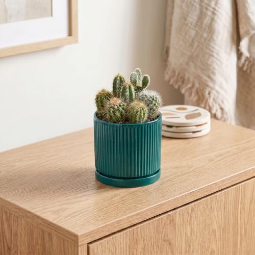 4 Inch Ceramic Pots for Plants, Plant Pots with Tray, Blackish Green - Image 5