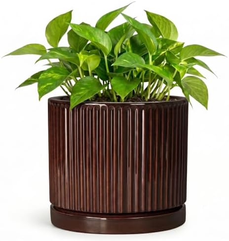 Ceramic Plant Pots, 6 Inch Pots for Plants, Round Planter, Brown by Unknown