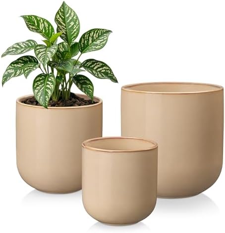 vancasso 6+8+10 inches Ceramic Plant Pots, Set of 3, Planters with Drainage Hole, Flower Pots Planters Pots for Indoor Plants, Modern Indoor Decorative Garden Pot, Home Decor, Brown by vancasso