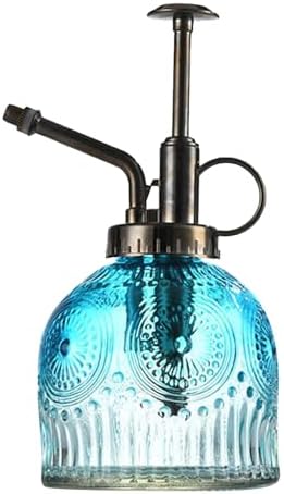 Spray Bottle for Plants, Plant Mister Spray Bottle, Glass Plant Mister Spray Bottle, Embossed Vintage Glass Watering Can, Succulent Watering Bottle with Top Pump for Outdoor (G) by Unknown