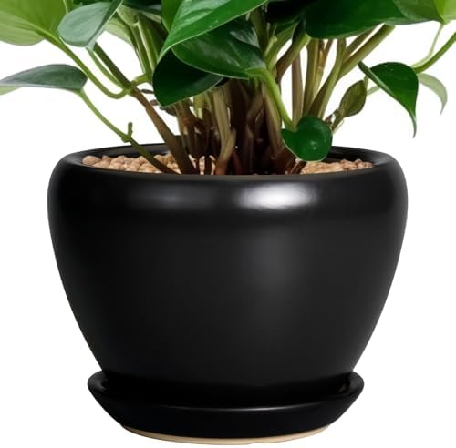 Ceramicfor Ceramic Planter Pot - 6 Inch Plant Pot with Drainage Hole and Saucer Round Planter for Indoor Plants Outdoor Succulent Pot Modern Flower Pot for Home Decor Black by Ceramicfor