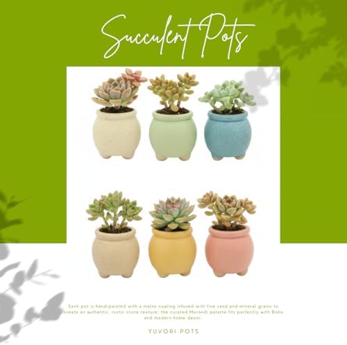 12-Pack 1.6" Wide Round Belly Succulent Pots with Large Drainage Hole - Rustic Morandi Stone Textured Ceramic Planters, Side-Tilted Stable Mini Pots for Air Plants, Fairy Gardens (Dusty Pink) - Image 6