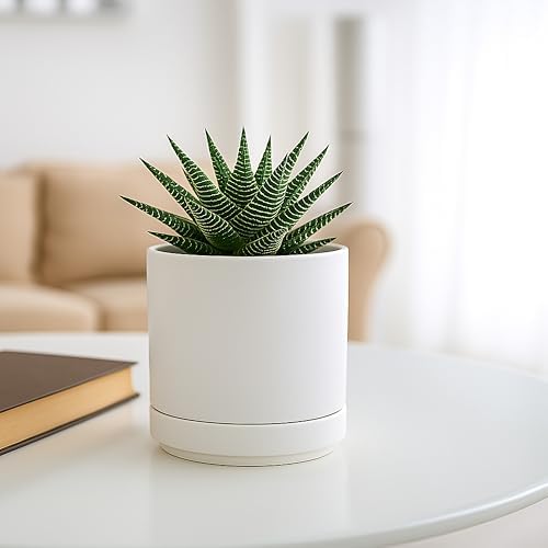 D'vine Dev 4.7 Inch Ceramic Planter Pot, White, 94-O-B-1 - Image 5