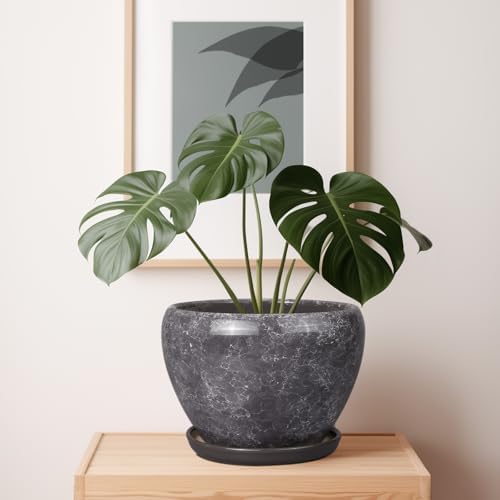 Ceramicfor Ceramic Planters for Indoor Plants - 10 Inch Plant Pot with Drainage Hole and Saucer, Large Flower Pot for Home Decor, Gray - Image 7