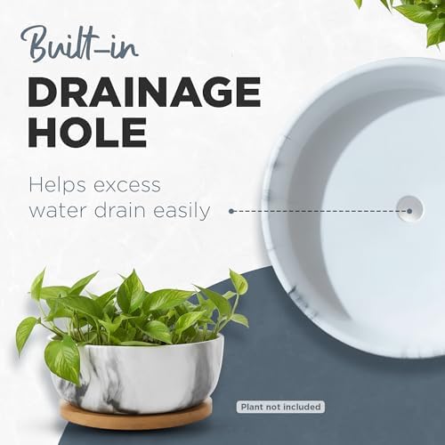Pastel Marble Inspired 8 Inch Ceramic Succulent Planter with Drainage Hole & Bamboo Tray – Large Wide Round Pot Decorative for Indoor Plants, & Cactus - Image 6