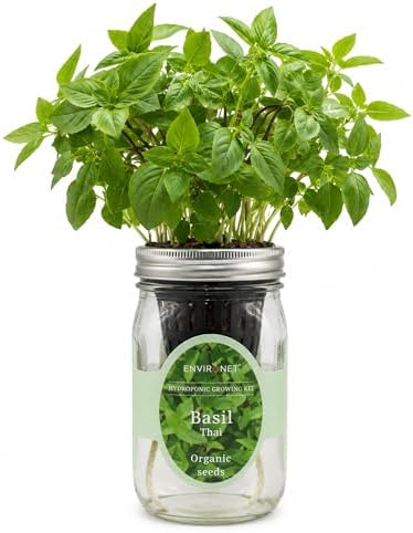 Hydroponic Herb Growing Kit, Self-Watering Mason Jar Herb Garden Starter Kit Indoor, Windowsill Herbs Garden, Grow Your Own Herbs from Organic Seeds (Thai Basil) by Environet