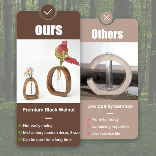 Mini Wood Vase Terrarium, Glass Tube Plant Propagation Station, MCM Decor - Image 5