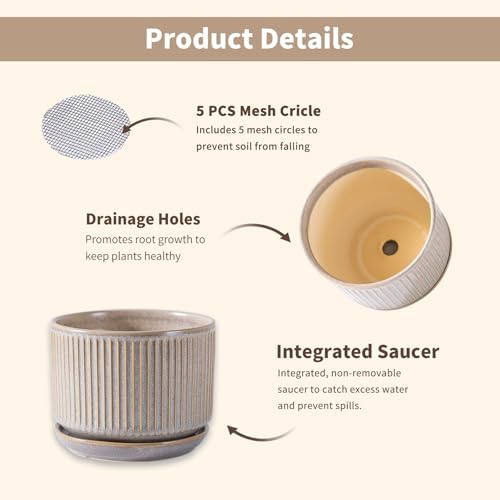 SURE YUESI Ceramic Plant Pots Set of 3, Indoor Outdoor Planters with Drainage Hole and Saucer, Ceramic Flower Pots for Indoor Plants, 4.3+5.5+6.8 Inch, Home, Garden, Patio and Office, Matte Grey - Image 7