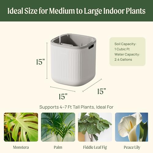 15 Inch Self-Watering Planter for Indoor Plants – Large Modern Plant Pot with Built-In Water Reservoir, Ideal for Monstera, Fiddle Leaf Fig, Palms & Peace Lily, Without Trellis (1, Cream White) - Image 2