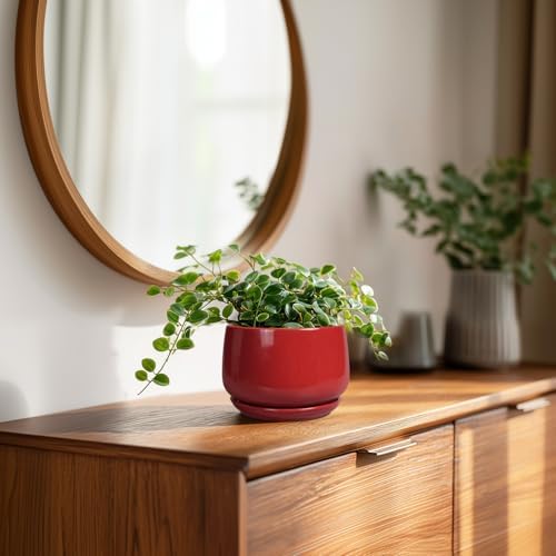 G EPGardening Ceramic Pots for Plants - 4 inch Succulent Pots Indoor Outdoor, Small Planter with Drainage Hole & Tray, Modern Flower Pot, Decorative Round Planter, Living Room Decor, Home Gifts, Red - Image 3
