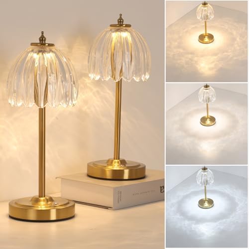 Shenmoyl Set of 2 Tulip Table Lamp with 5000mAh Battery & Touch Control, Cordless Table Lamp with 3 Colors, Dimmable Rechargeable Table Lamps for Bedroom, Living Room, Entryways (Transparent Tulip) by Shenmoyl