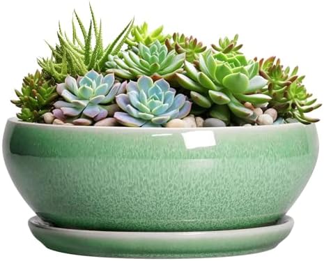 SQOWL Succulent Planter 12 Inch, Ceramic Bonsai Pots with Saucer, Green by SQOWL