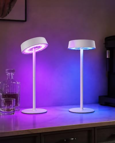EZVALO Cordless Ambient Lighting, Rechargeable Table Lamp, Battery Operated by EZVALO