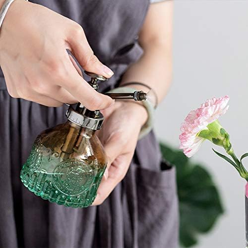 Glass Plant Mister Spray Bottle Indoor Watering Can 6.4inch Tall with Bronze Plastic Top Pump Vintage Small Plant for Outdoor Garden Succulent Flower - Image 5