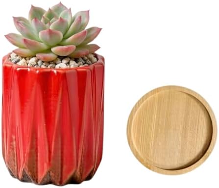 Modern Textured Ceramic Succulent Planter Pot – (No Plant Included) – Perfect for Small Plants, Cacti & Desk Decor – Lightweight & Durable (Red) by SJBAG