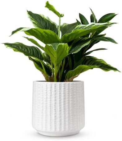 Ceramic Planter Pot with Drainage Hole, 5 Inch Dia, Indoor and Outdoor, Home Patio Garden, Plants&Flowers, Textured Round (White) by Unknown