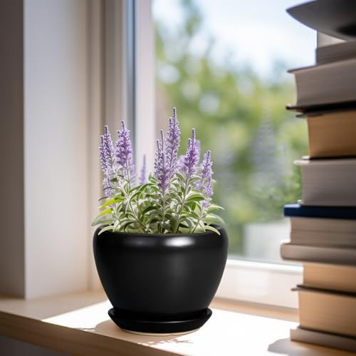 Ceramicfor Ceramic Planter Pot - 6 Inch Plant Pot with Drainage Hole and Saucer Round Planter for Indoor Plants Outdoor Succulent Pot Modern Flower Pot for Home Decor Black - Image 2