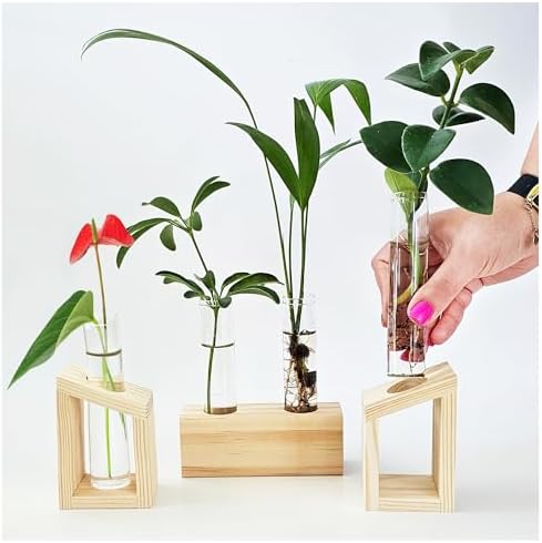 Plant Propagation Station - 3-Piece Wooden Stand with 4 Glass Test Tubes, Terrarium Vases for Plants, Hydroponic Propagation Planter for Home office Decor, Plant Lover Gift. by Unknown
