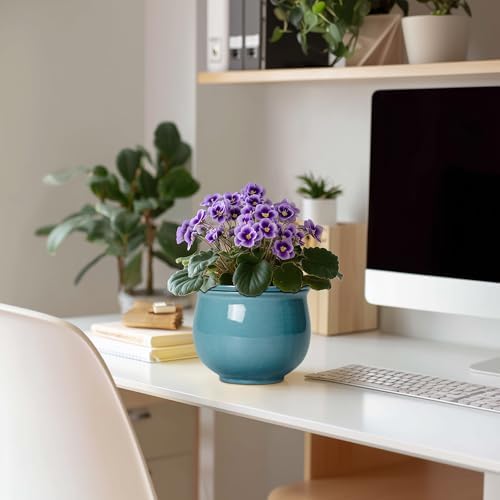African Violet Pots 6 Inch, Ceramic Self Watering Pot with Absorbent Inner Planter, African Plant Pots for Indoor Plants, Round Flower Pot, Bedroom Decor, Gifts for Plant Lover, Glaze Blue - Image 3