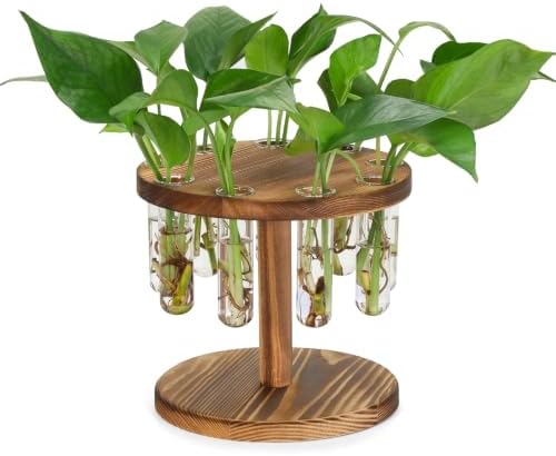 Plant Propagation Station, 9 Propagation Tubes with Wooden Stand by Unknown