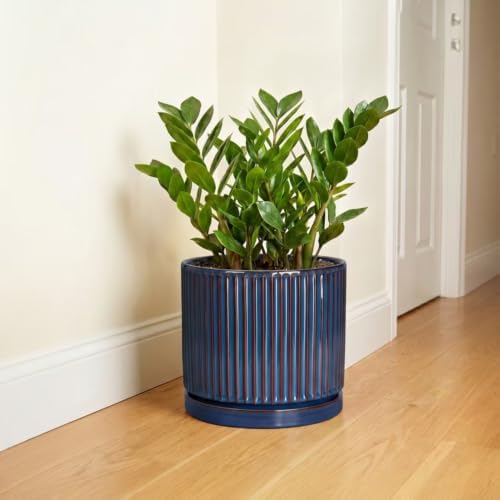 Ceramic Planter, 10 Inch Plant Pots with Saucer, Retro Blue - Image 6