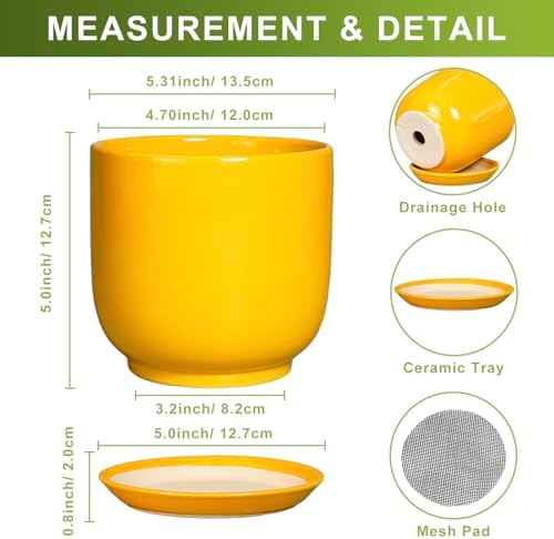 Plant Pot 5 Inch - Modern Round Indoor Ceramic Planter with Drainage Hole and Tray for Succulent Cactus Herbs Plants, Home House Garden Office Decor, Yellow - Image 3
