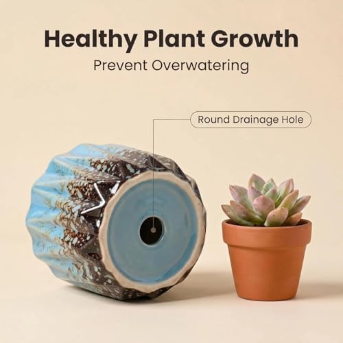 Succulent Plant Pots Ceramic Plant Pots and Drainage Hole Bonsai Planter Small Flower Pots for Indoor Outdoor Use for Home Office Garden Decoration,Plants Not Included (Blue B) - Image 3