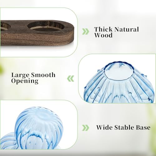 Glasseam 3Pcs Mushroom Propagation Station: Glass Terrarium Jar for Plants - Image 5