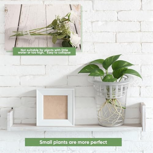 Baderke 70 Pcs Plastic Plant Propagation Vase for Indoor Decor, 4.25'' - Image 7