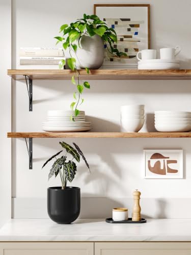 LE TAUCI 6 Inch Ceramic Plant Pot, Small Indoor Planter, Black - Image 2